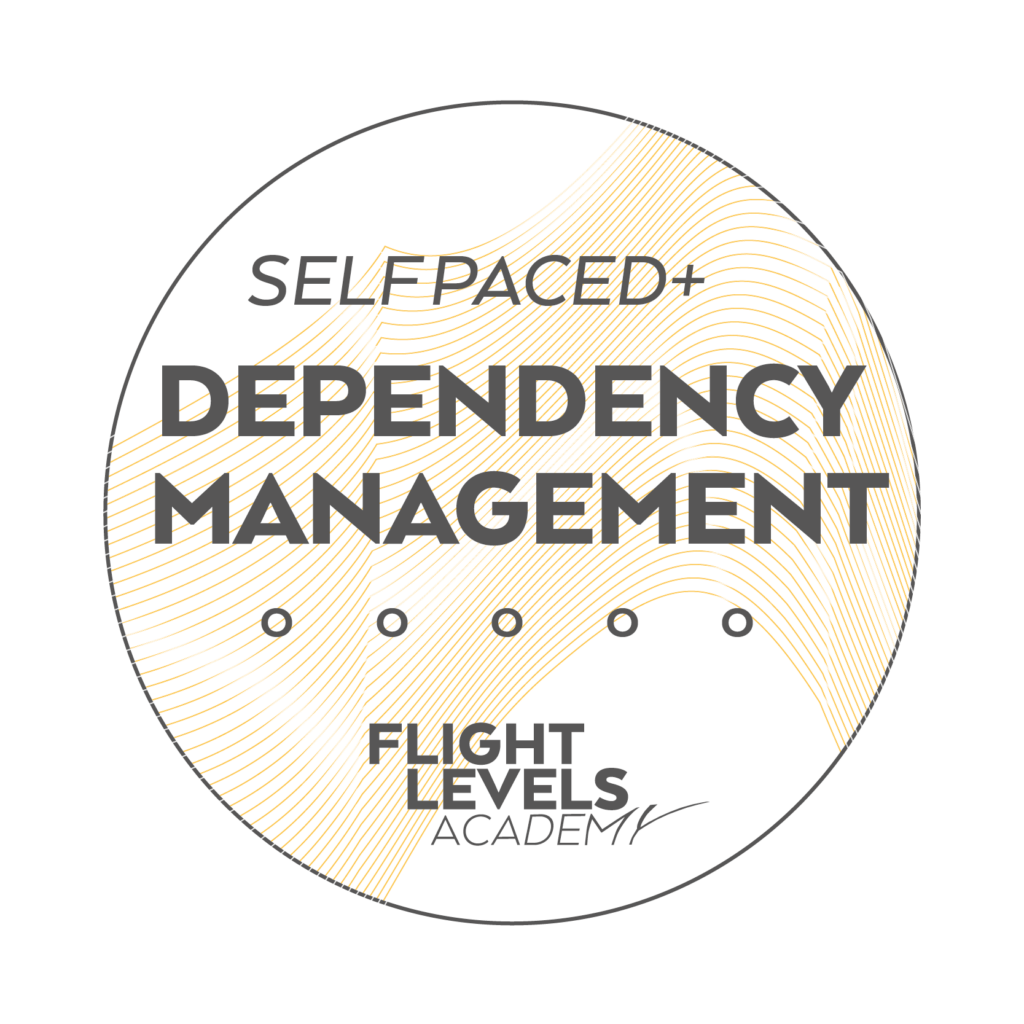 Sticker: Dependency Management in Flight Levels