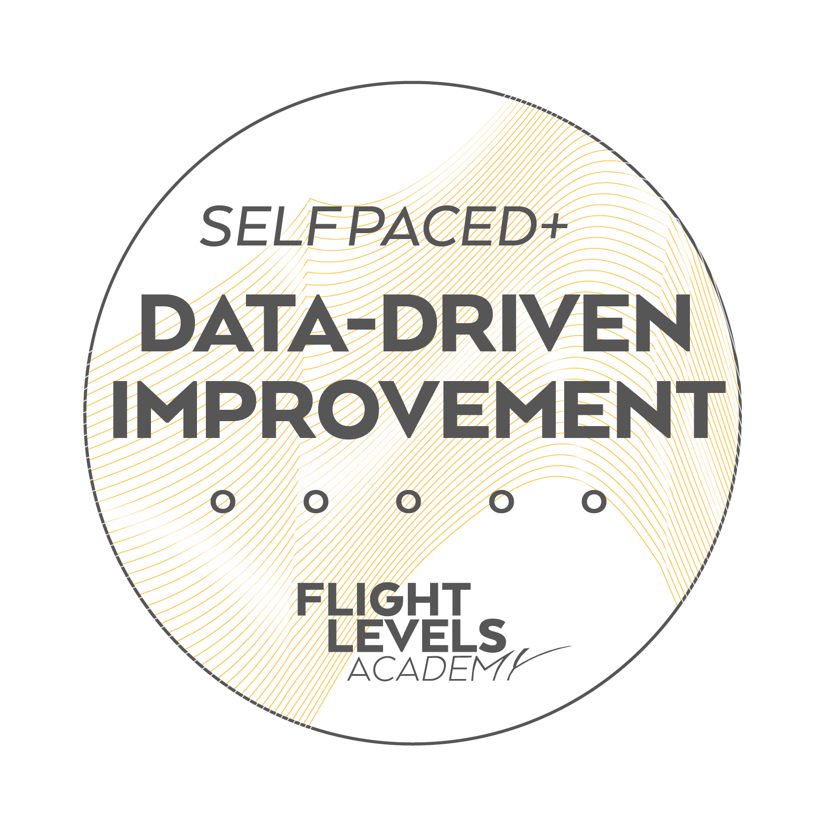 Flight Levels Academy Your Flight Levels Learning Journey